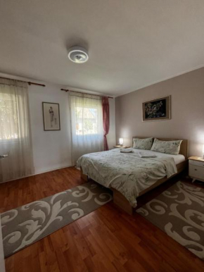 Apart Zen House
